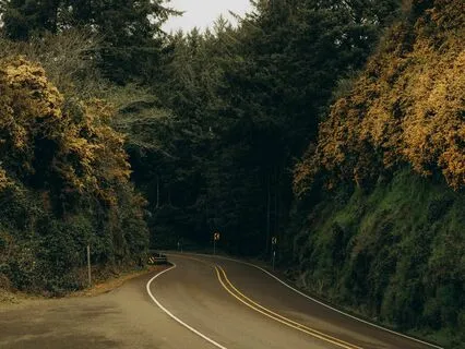 Calm Within: Release Tension Instantly