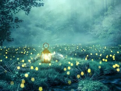 Calm Work Flow: Ambient Concentration Tunes