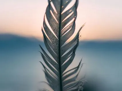 Calm Your ADHD Mind & Find Focus