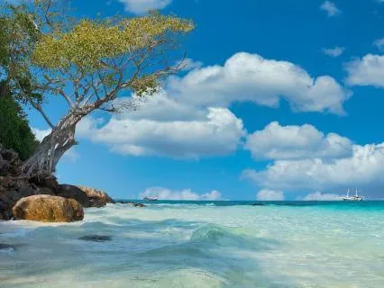 Calm Your Body And Mind Yoga Nidra