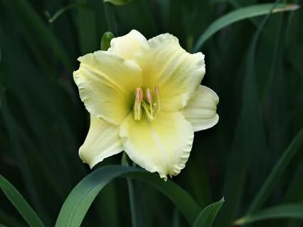 Calm Your Body, Quieten Your Mind & Just Be