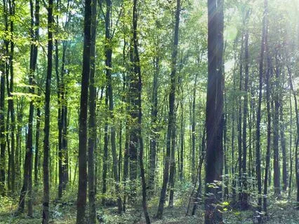 Calm Your Body To Calm Your Mind Meditation