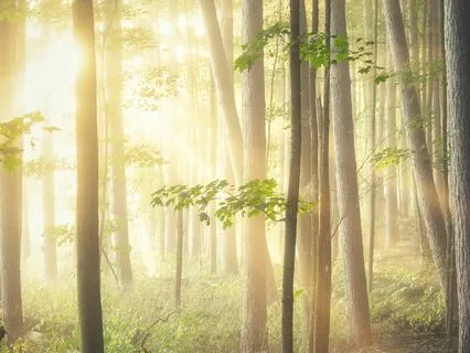 Calm Your Busy Mind - Breathing Meditation With Music