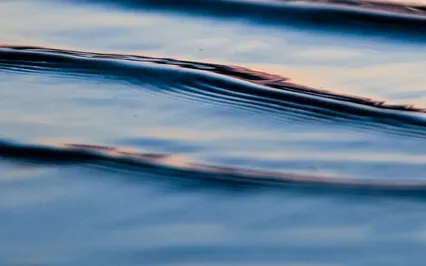 Calm Your Busy Mind With The Breath For 10 Minutes - 10 Minute Daily Insight