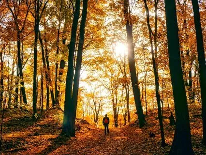 Calm Your Chattering Mind With Walking Meditation