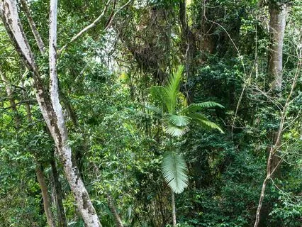Calm Your "Farm" With The Boxed Breathing Technique