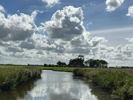 Calm Your Mind - 1-Minute Magic