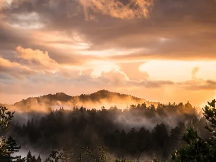 Calm Your Mind And Express Gratitude