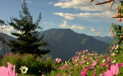 Calm Your Mind & Soothe Your Body