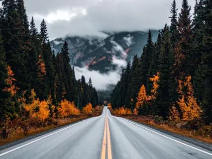 Calm Your Mind Before Driving: Release Road Rage And Stress