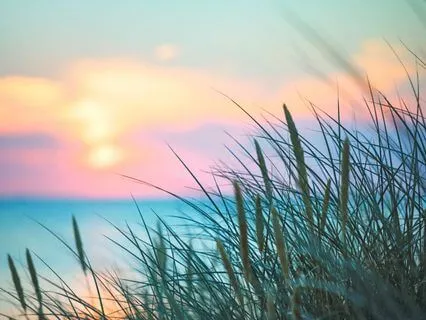 Calm Your Mind, Let Your Soul Speak