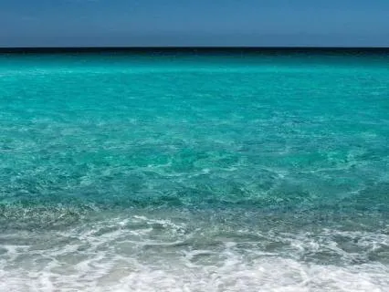 Calm Your Body: Quiet Your Mind: Vagus Nerve Reset