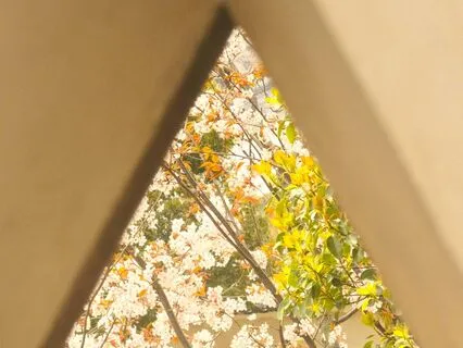 Calm Your Mind With 3-Pointed Breathing: 5-Min Daily Insight