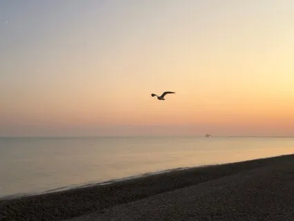 Calm Your Mind With The Ocean's Waves