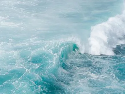 Calm Your Nervous System When You Feel Overwhelmed