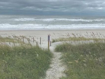 Calm Your Nervous System With Gentle Hand Movements