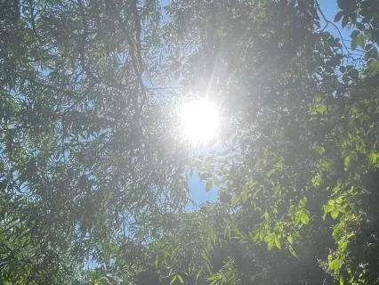 Calming 5 Minute Morning Gratitude Meditation