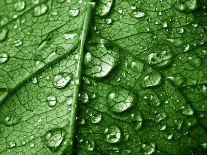 Calming Affirmations For Stress Relief