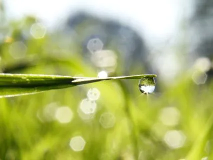 Calming Ambient Music & Nature Sounds For Meditation/Rest