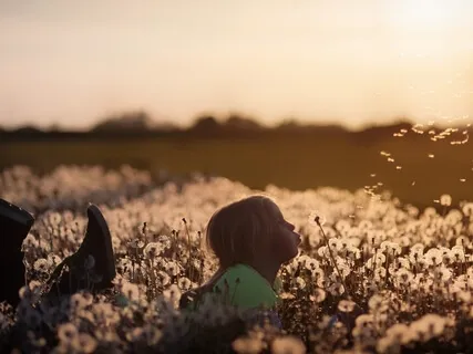 Calming An Anxious Mind