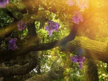 Calming And Peaceful State