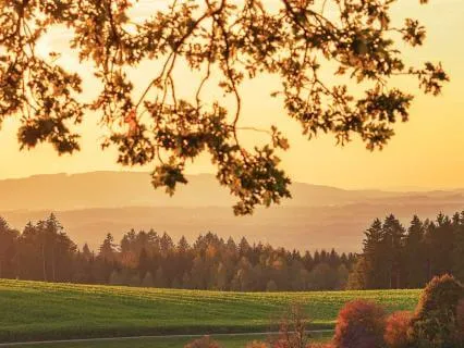 Calming Anxiety : Affirmations For Global Uncertainty