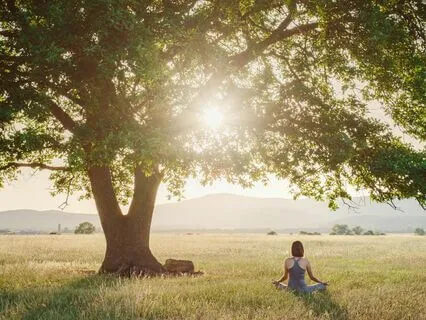 Calming Anxiety Melodies