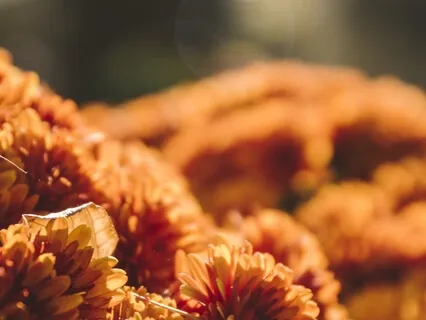 Calming Anxiety (Music For Highly Sensitive People)