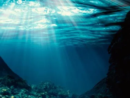 Calming Anxiety Through Stillness | Praying Mantis Wisdom