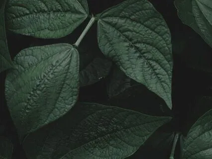 Calming Background Sound Scape For Peaceful Meditation