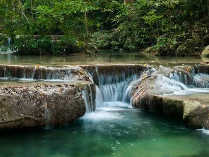 Calming Birdsong And Gentle Stream For Deep Relaxation
