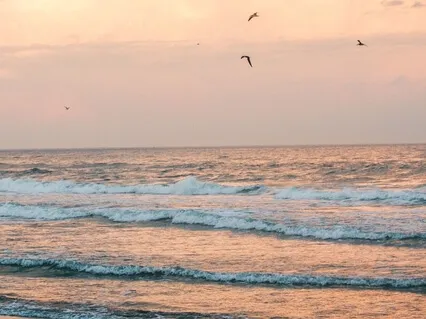 Calming Body Scan Meditation