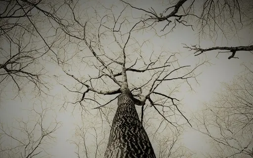 Calming Breath Techniques - Soothe Your Nervous System