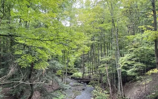 Calming Breathing (Pranayama/Breath Work + Mindfulness)