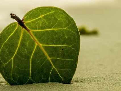 Calming Breaths For Anxiety Relief And Deep Relaxation