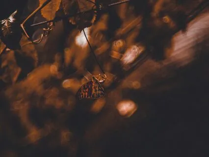 Calming Brown Noise [The Brown Noise Collection]