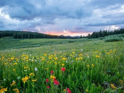 Calming Countryside Sleep Story