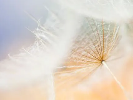 Calming & Ethereal Sound Meditation For The Soul