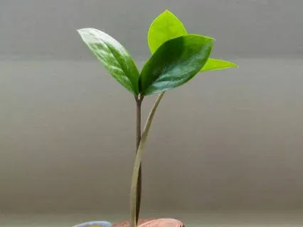 Calming Financial Stress