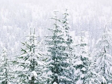 Calming Frequencies for Anxiety Relief (Theta 8 Hz)