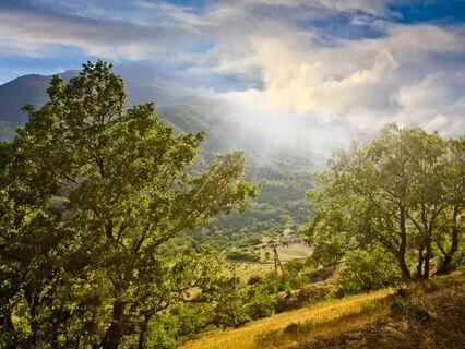 Calming Glow: Let Go And Recharge