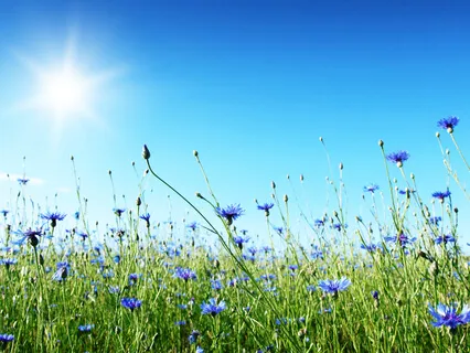 Calming Grounding Techniques For Anxiety & Dissociation (De-Personalisation + De-Realisation)