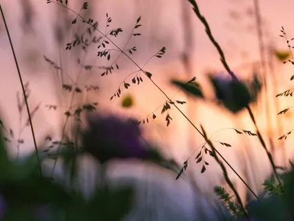 Calming Guided Trauma-Informed Yoga Practise (Music)