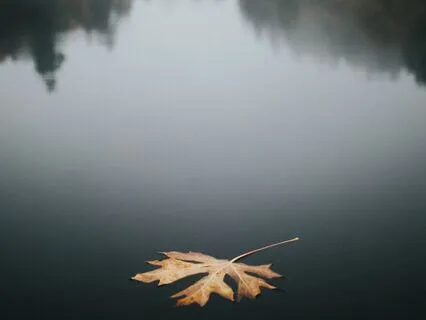 Calming Guided Trauma-Informed Yoga Practise (No Music)