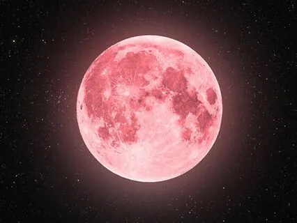 Calming, Healing Rest (Live)