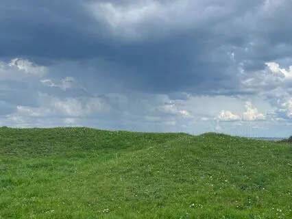 Calming Irish Countryside: Bird Songs And Soft Rainfall