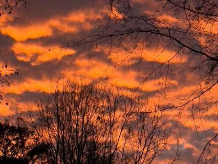 Calming Low Tibetan Bowl Frequencies To Help You Sleep