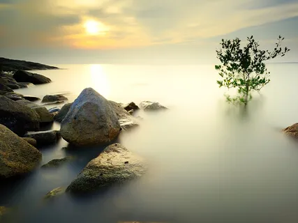 Calming Meditation For All Occasions 