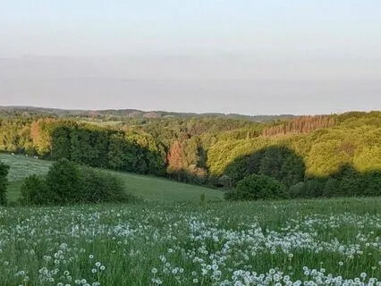 Calming Meditation for Anxiety and Stress