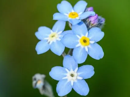 Calming Anxiety: A Gentle Breath-Based Meditation